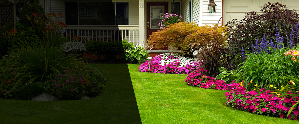 Winston Landscapers