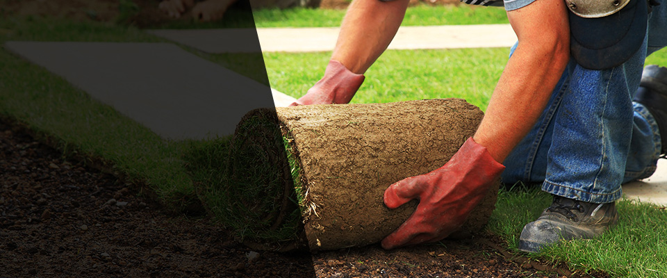 Winston Landscapers